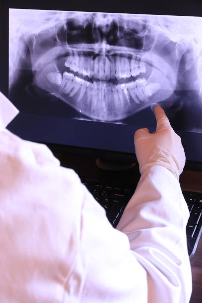 Best Emergency X-Rays and Diagnostics in Hemlock Farms, PA